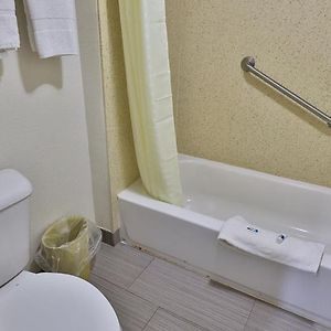 Standard King Room No View